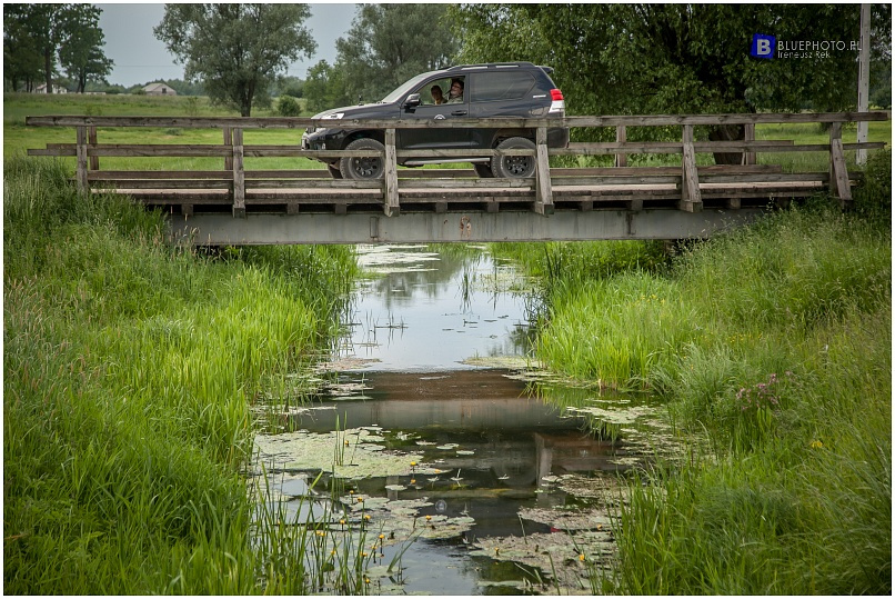 Land Cruiser KDJ155 Anny Brodzińskiej