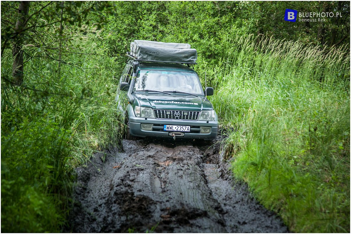 Toyoty Land Cruiser w klubie Drivenfar