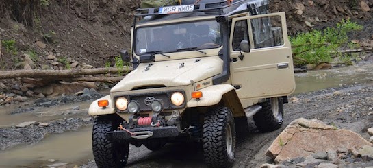 Land Cruiser UZJ 40 - Plum