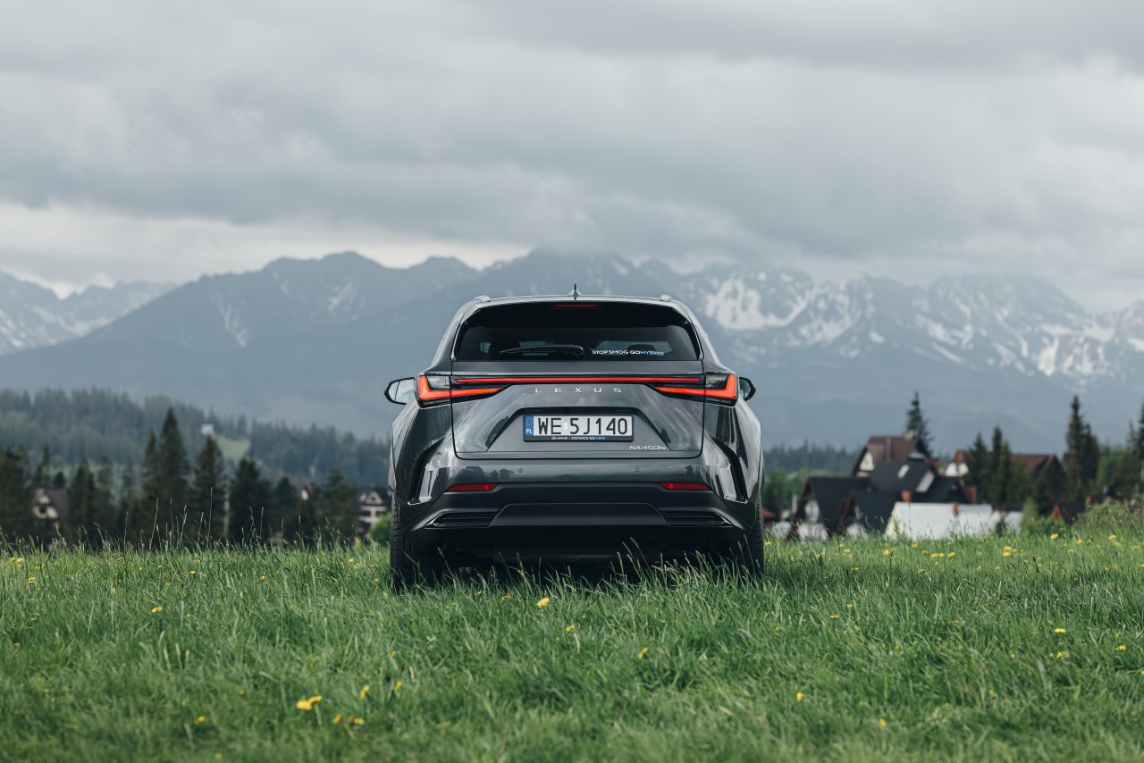 LEXUS NX 450H plus STATYKA 213