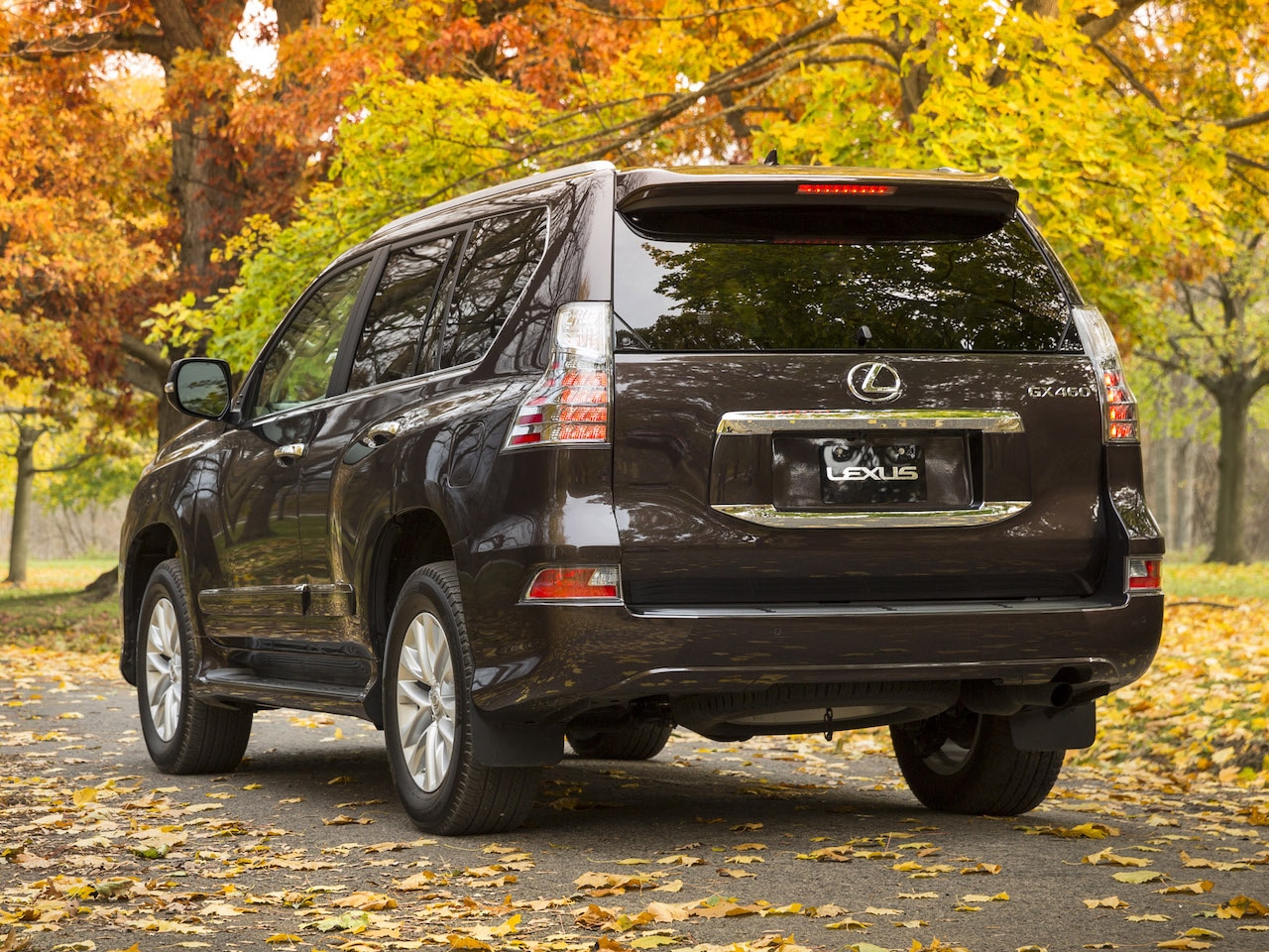 lexus gx 460 2013 3