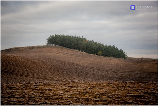 trawers_brodnica_2016__IMG_0353