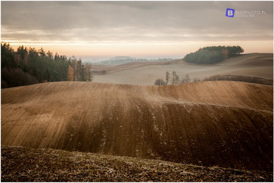 trawers_brodnica_2016__IMG_0367