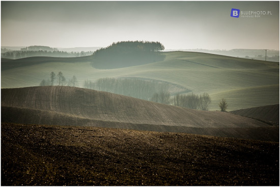 trawers_brodnica_2016__IMG_0535