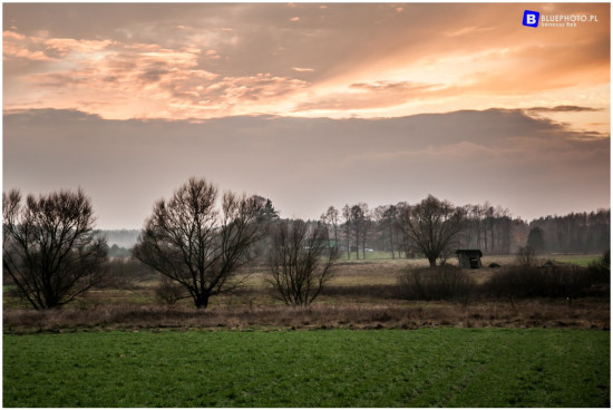 podlasie_2019__IMG_0473