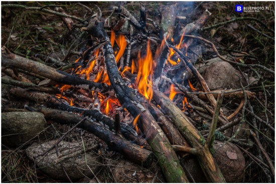 podlasie_2019__IMG_0759