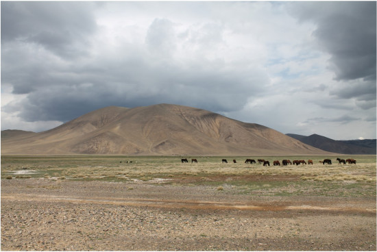 hilux_mongolia___IMG_4406