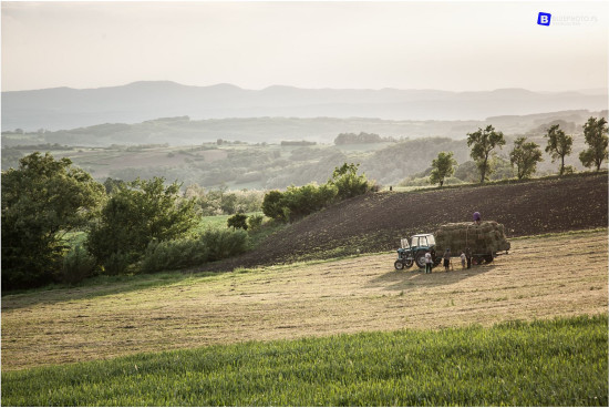 2018.05_SERBIA__IMG_7729