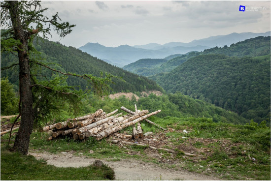 2018.05_SERBIA__IMG_7990